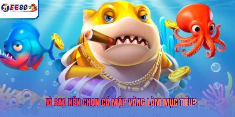 Vì sao nên chọn cá mập vàng làm mục tiêu?