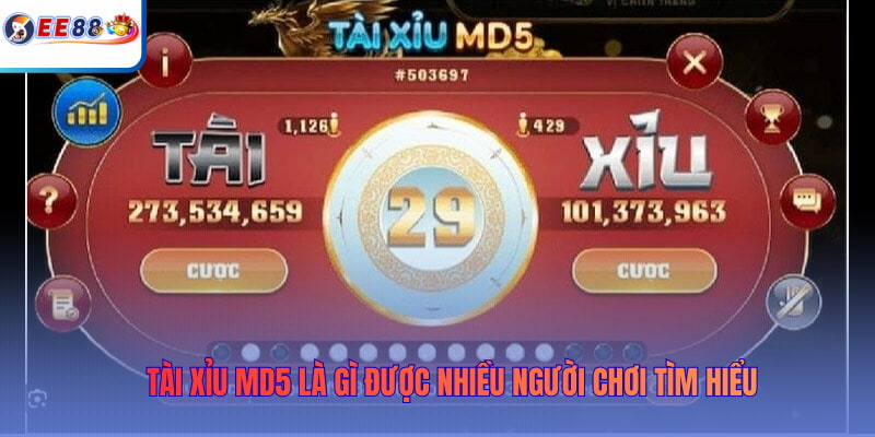 Tài Xỉu MD5 là gì được nhiều người chơi tìm hiểu